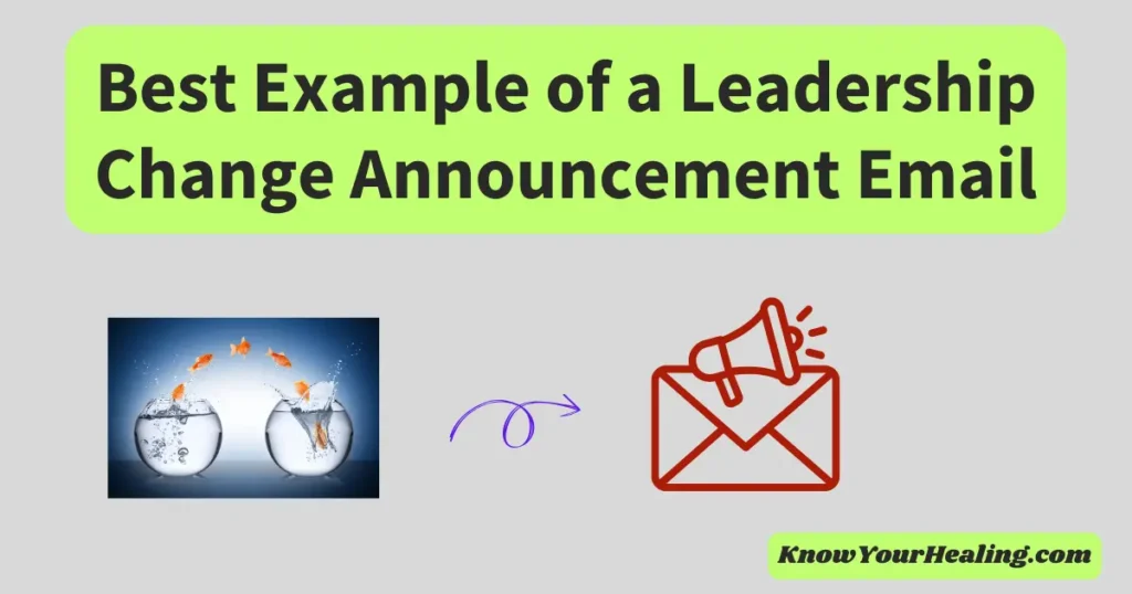 leadership change announcement email example