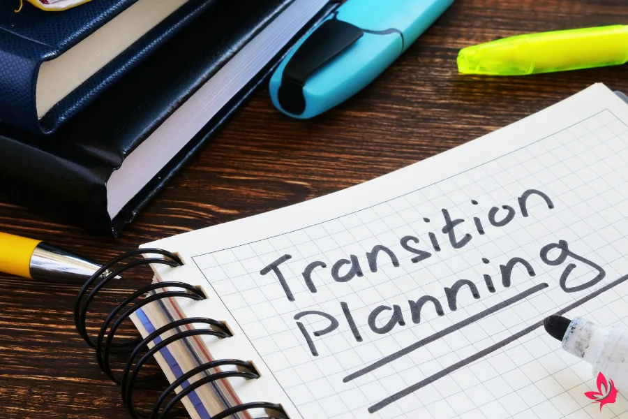 leadership transition plan template