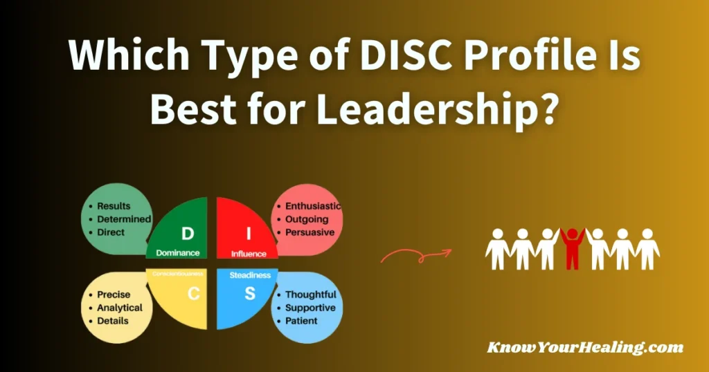 best disc profile for leadership