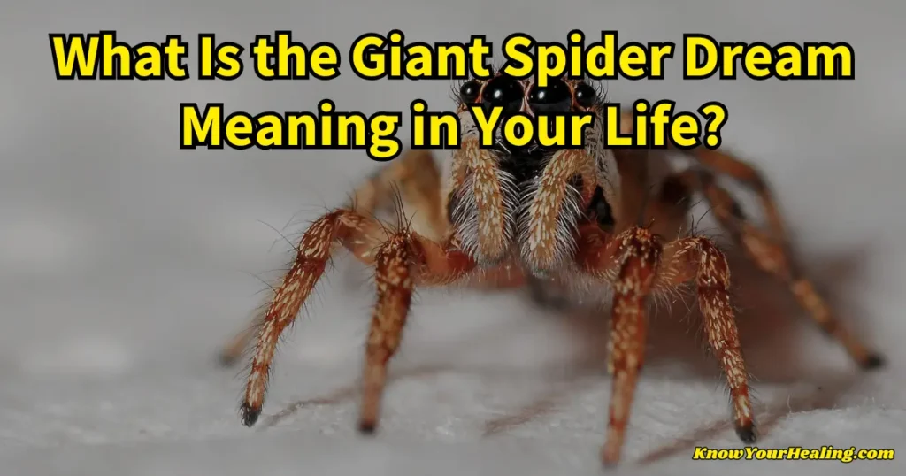 giant spider dream meaning