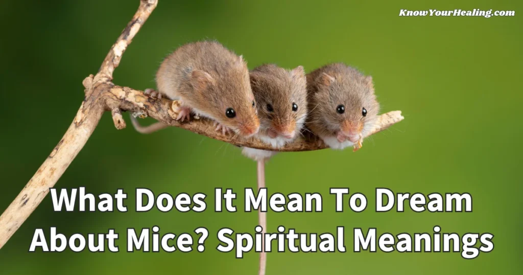 what does it mean to dream about mice