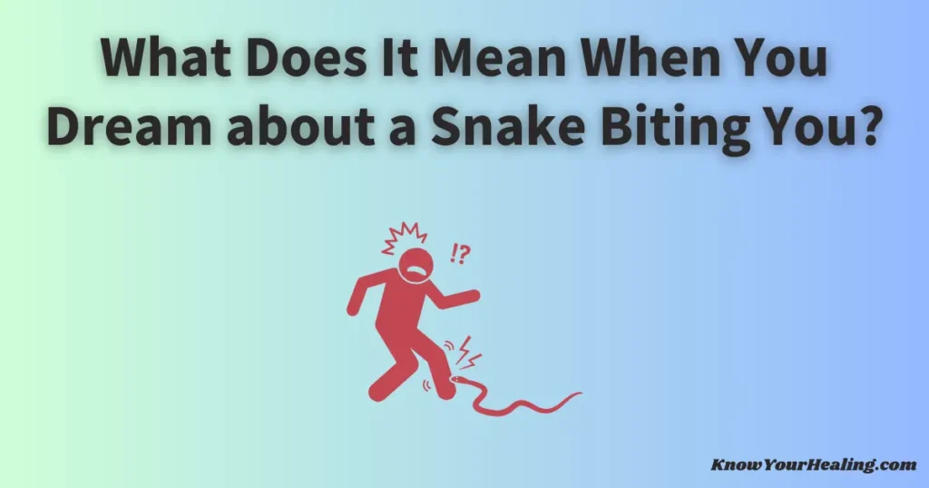 What Does It Mean When You Dream about a Snake Biting You