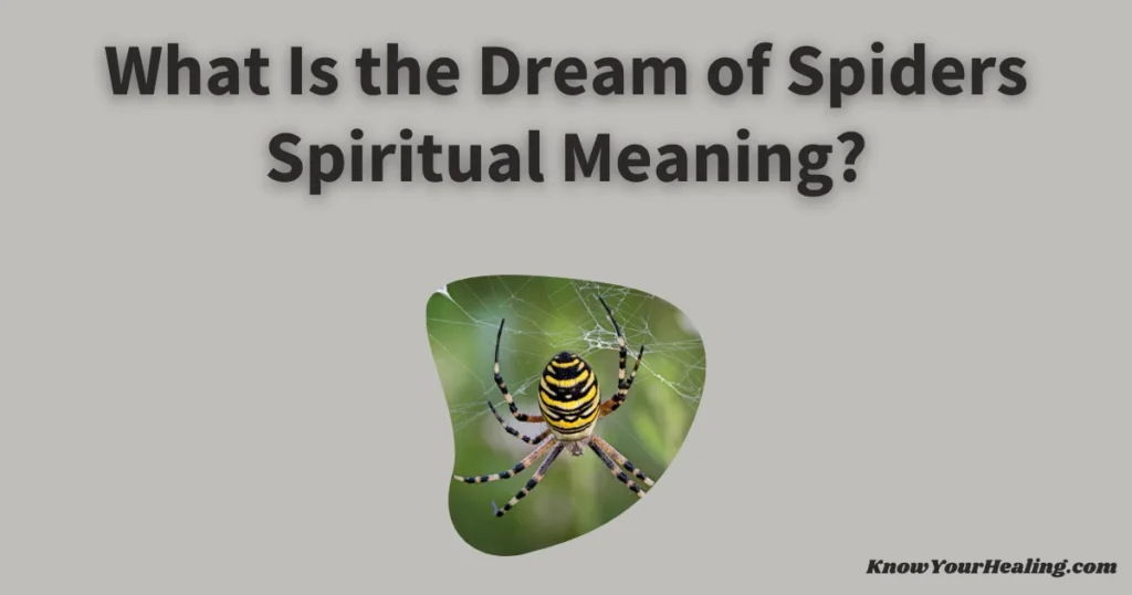 dream of spiders spiritual meaning