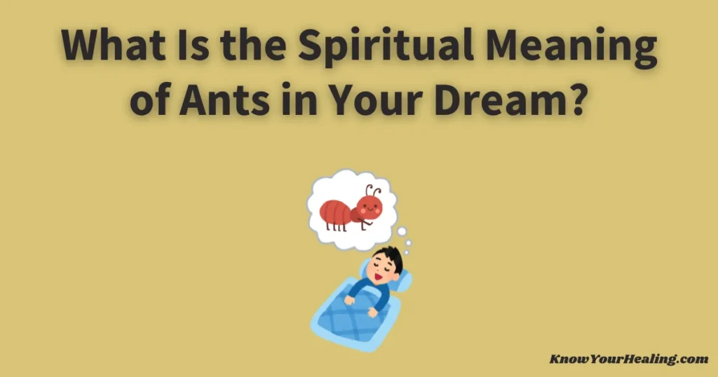 dream meaning ants