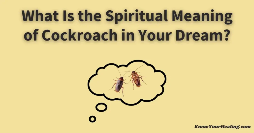 cockroach dream meaning