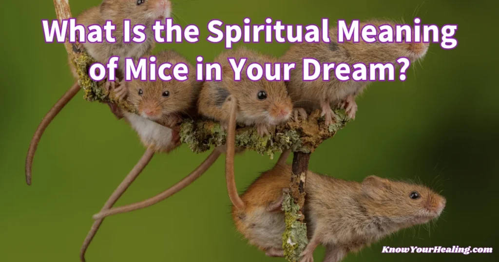 mice dream meaning