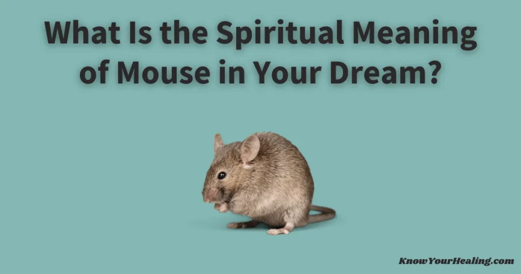 mouse in dream spiritual meaning