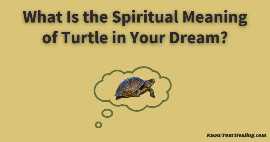 turtle dream spiritual meaning