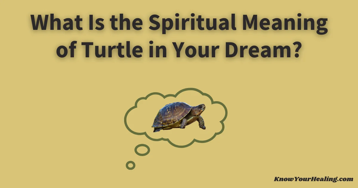 turtle dream spiritual meaning