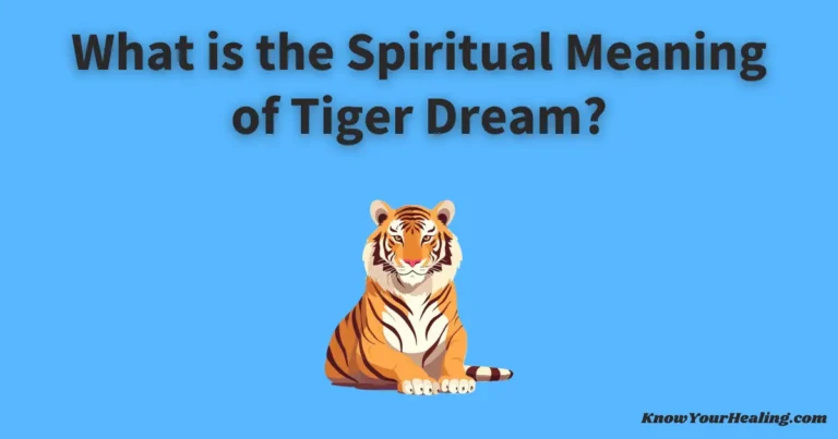 tiger dream meaning