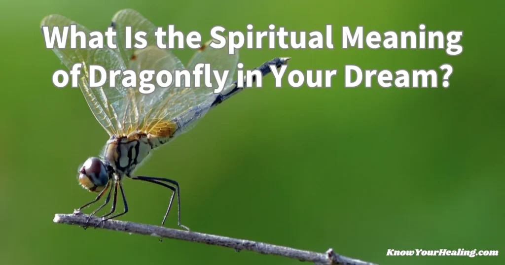 dragonfly dream meaning