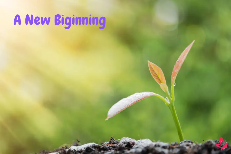 biblical meaning of being pregnant in a dream