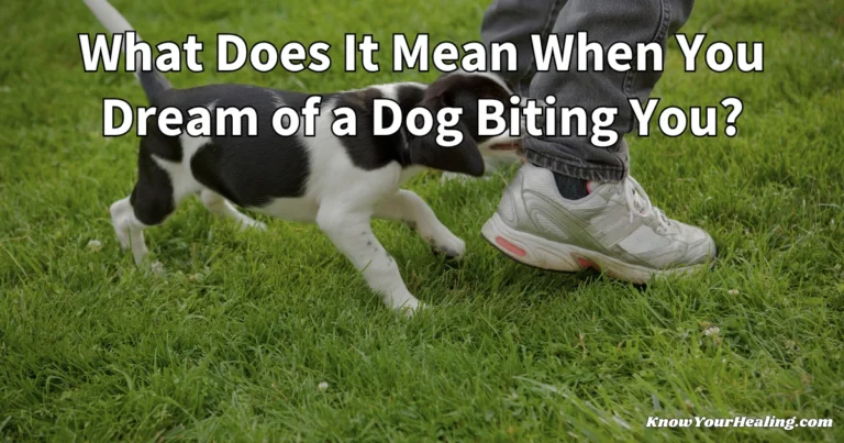 what does it mean when you dream of a dog biting you