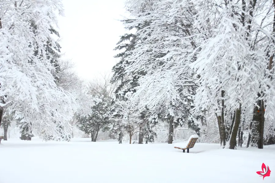what does it mean to dream about snow