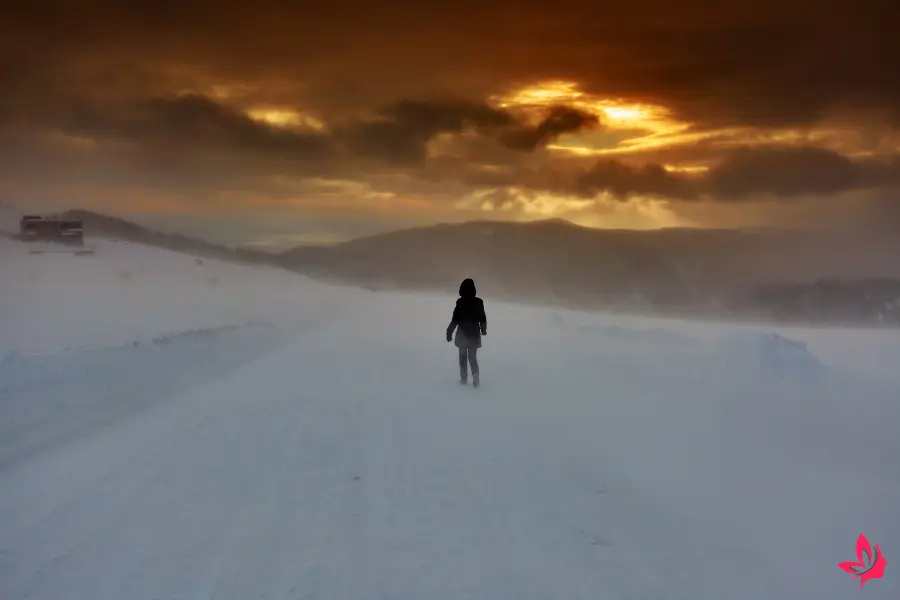 what does it mean to dream about snow