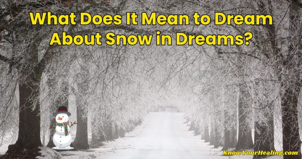 dream about snow