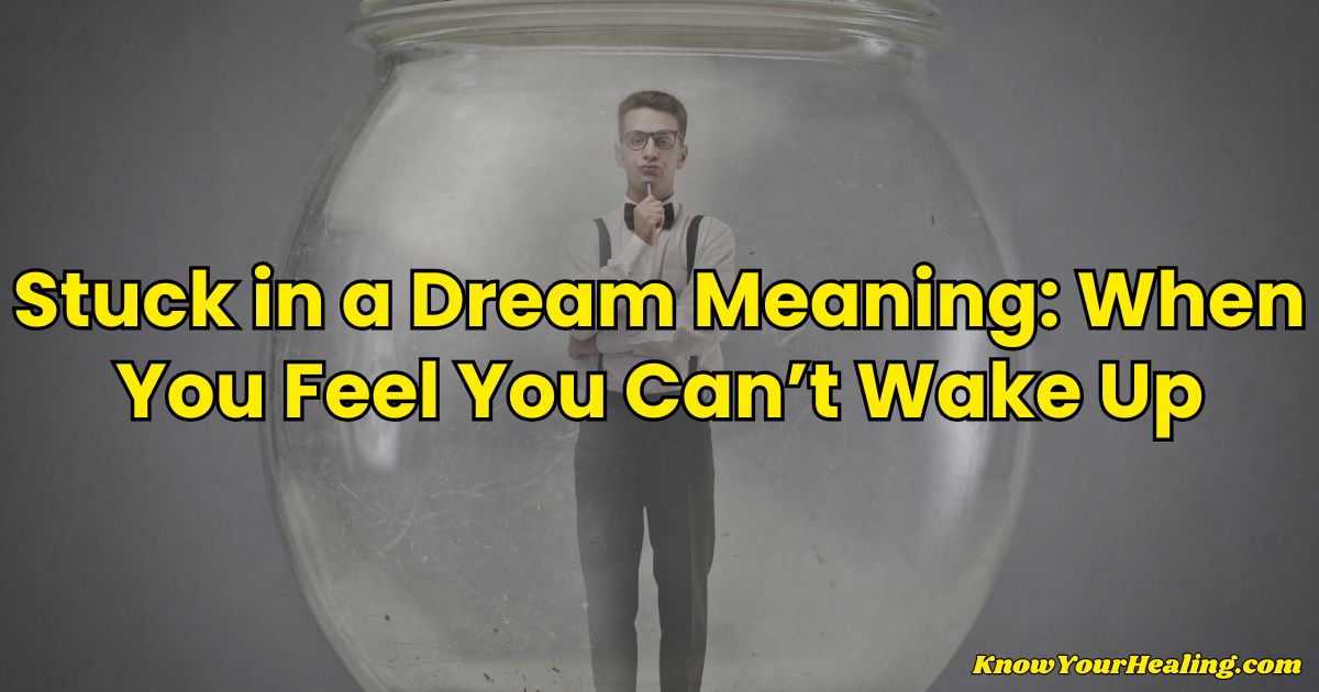 stuck in a dream meaning