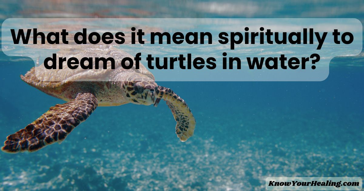 what does it mean to dream of turtles in water