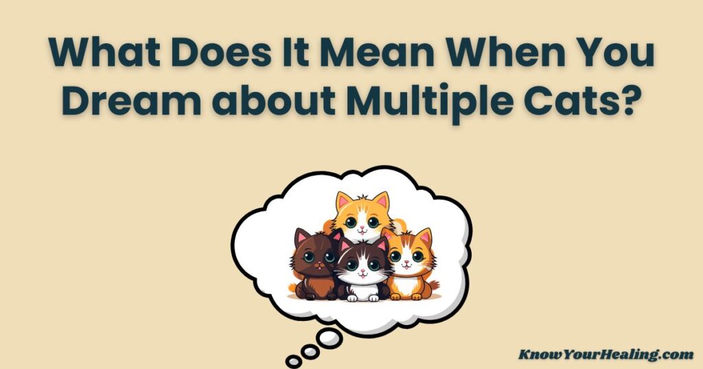 what does it mean when you dream about multiple cats