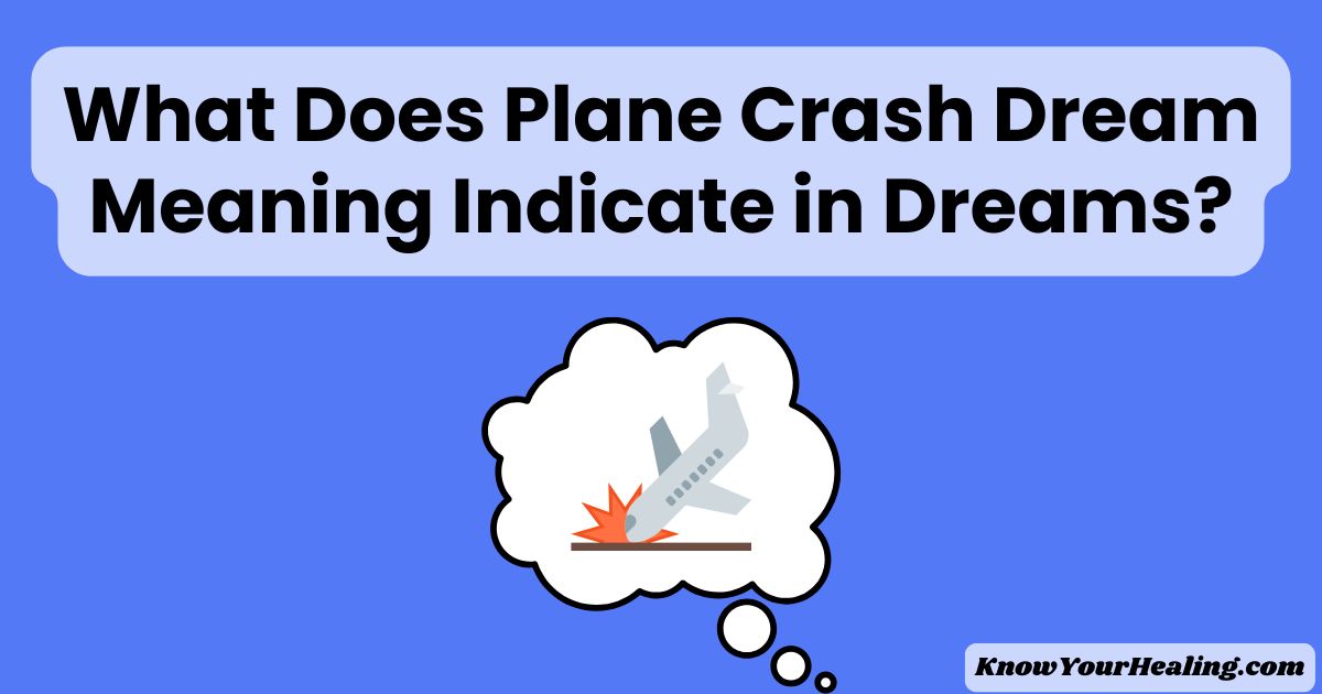 What Does Plane Crash Dream Meaning Indicate in Dreams