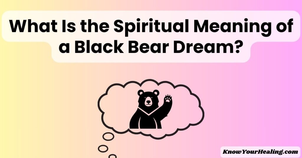 black bear dream meaning