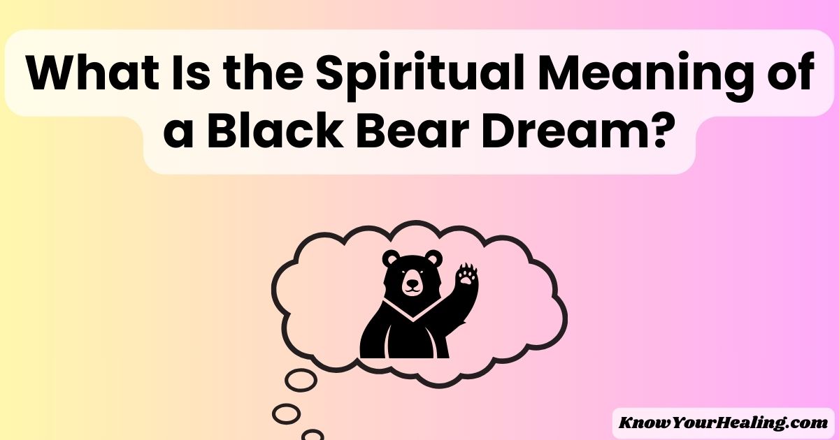 black bear dream meaning