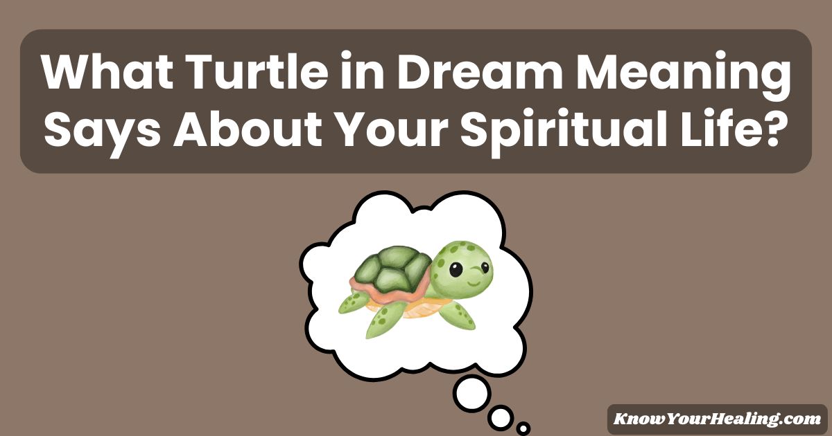 turtle in dream meaning