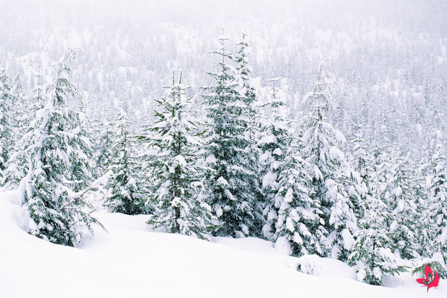 meaning of snow in dreams