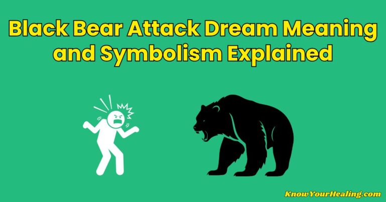 dream interpretation bear attack