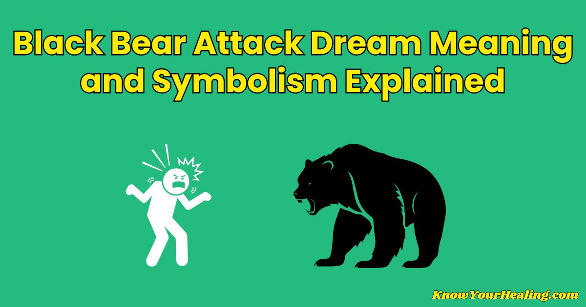 dream interpretation bear attack