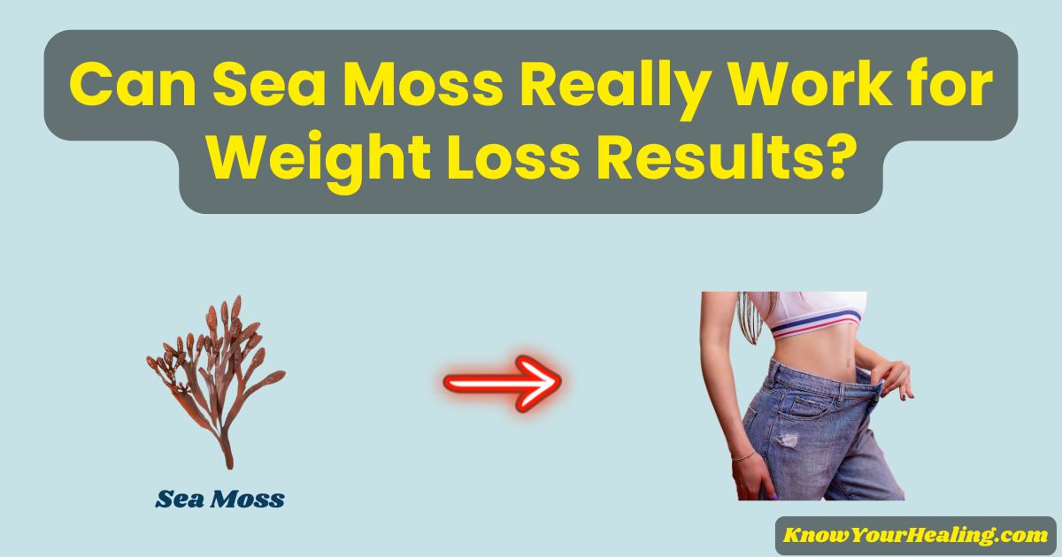 does sea moss help with weight loss