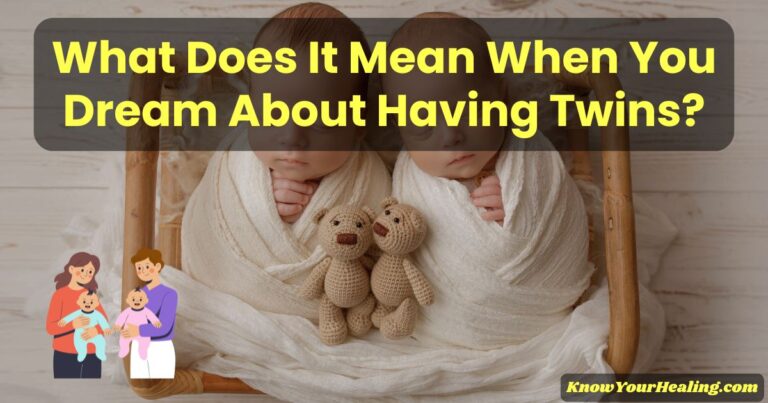 seeing twins in a dream meaning