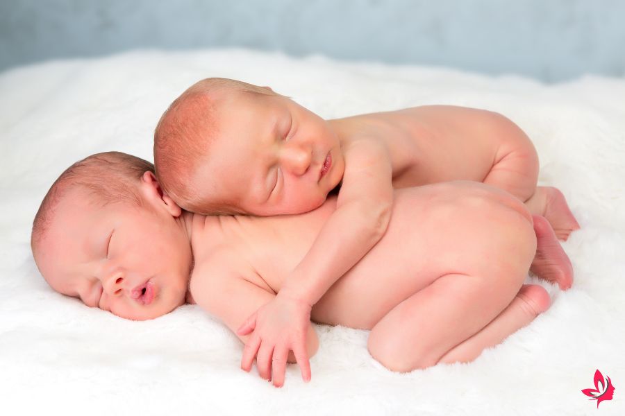 dream dictionary twins